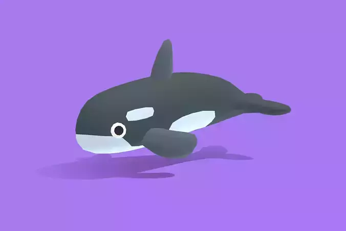 Orca - Quirky Series