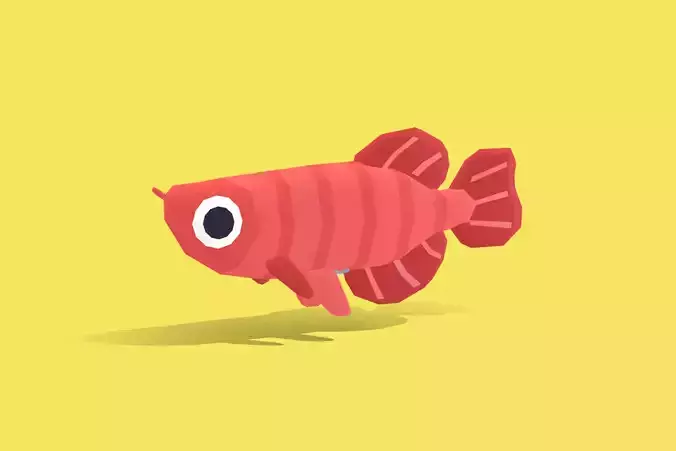 Arowana - Quirky Series