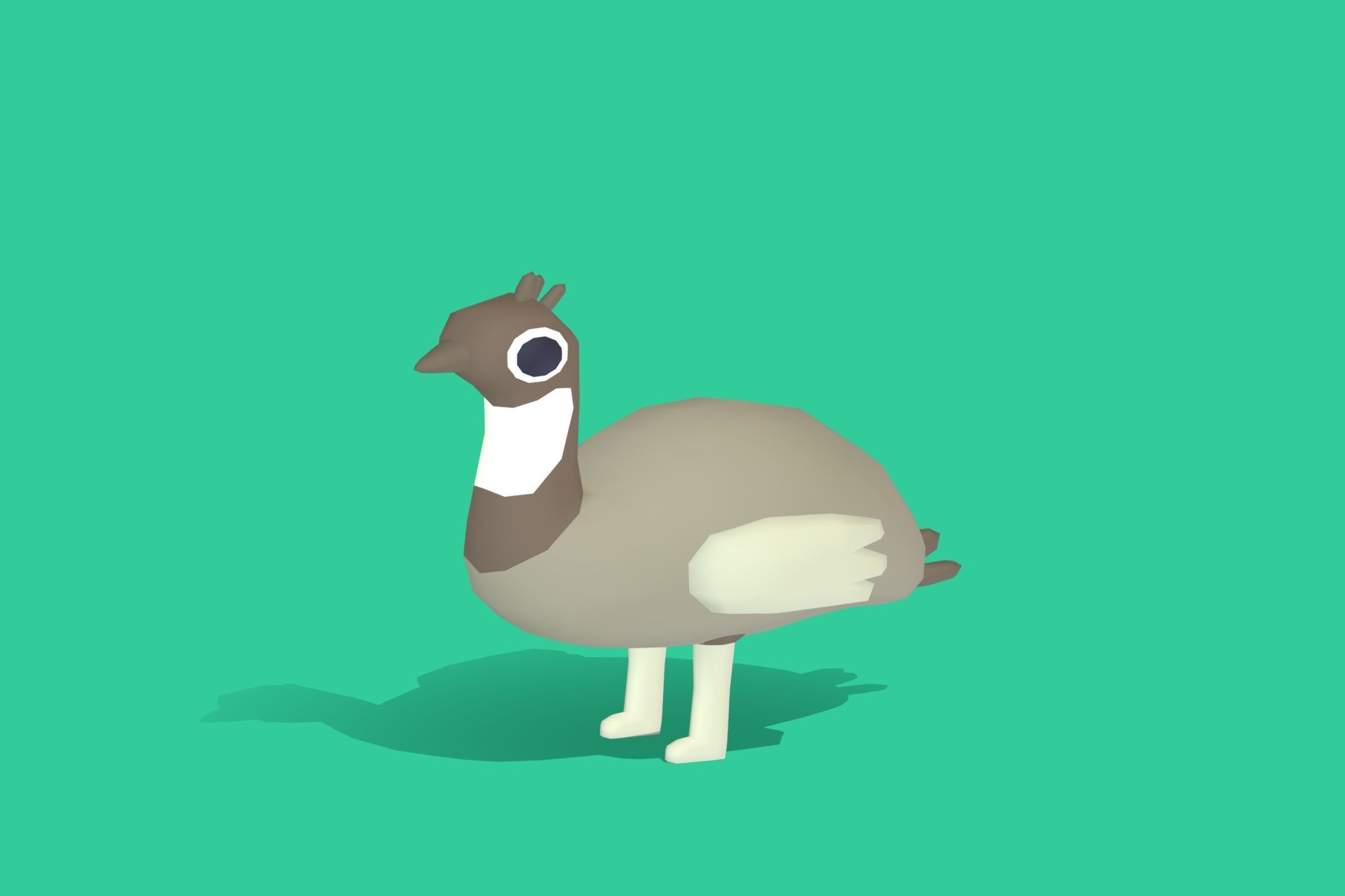 Emu - Quirky Series Low-poly 3D model_5