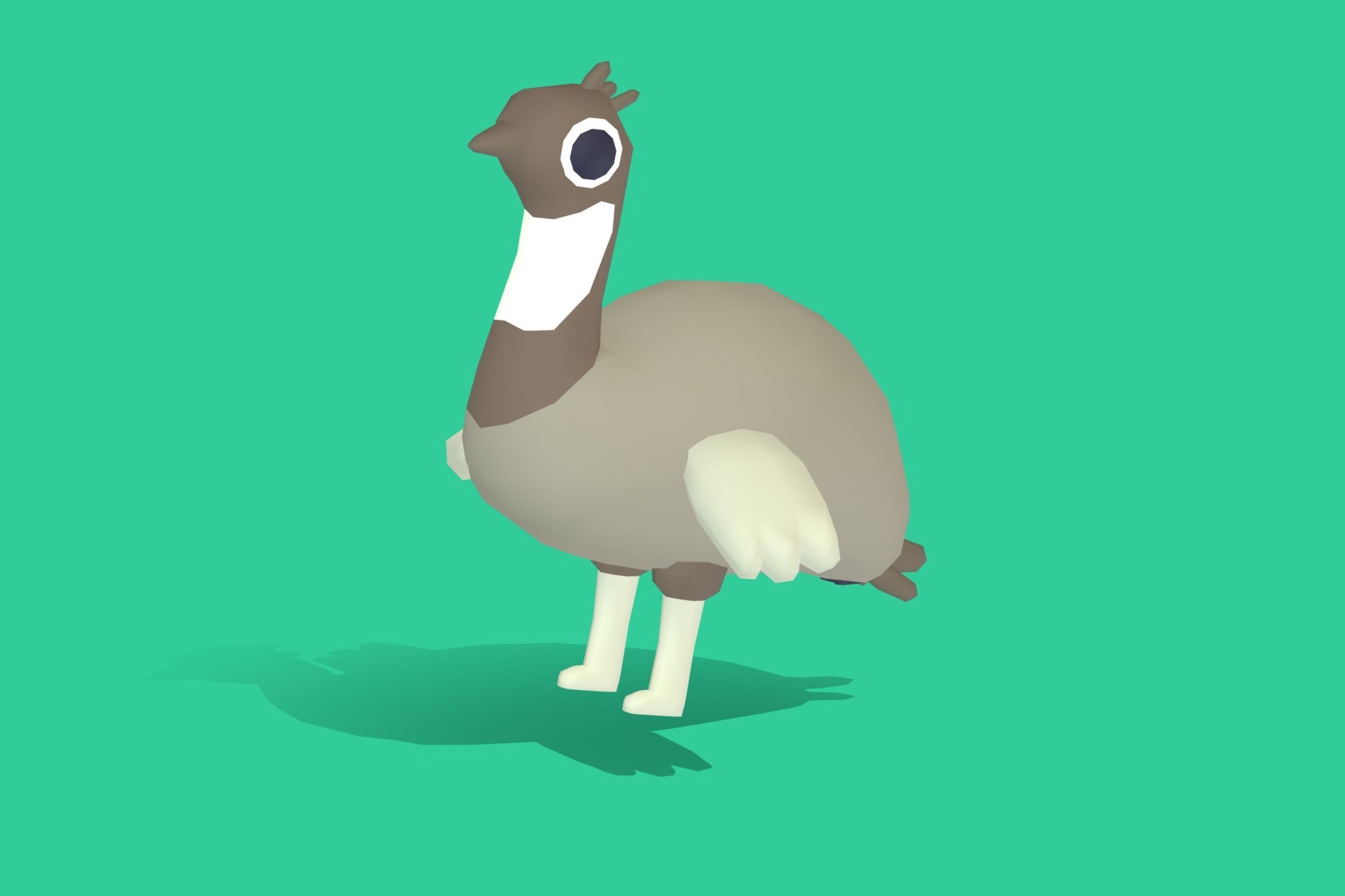Emu - Quirky Series Low-poly 3D model_4