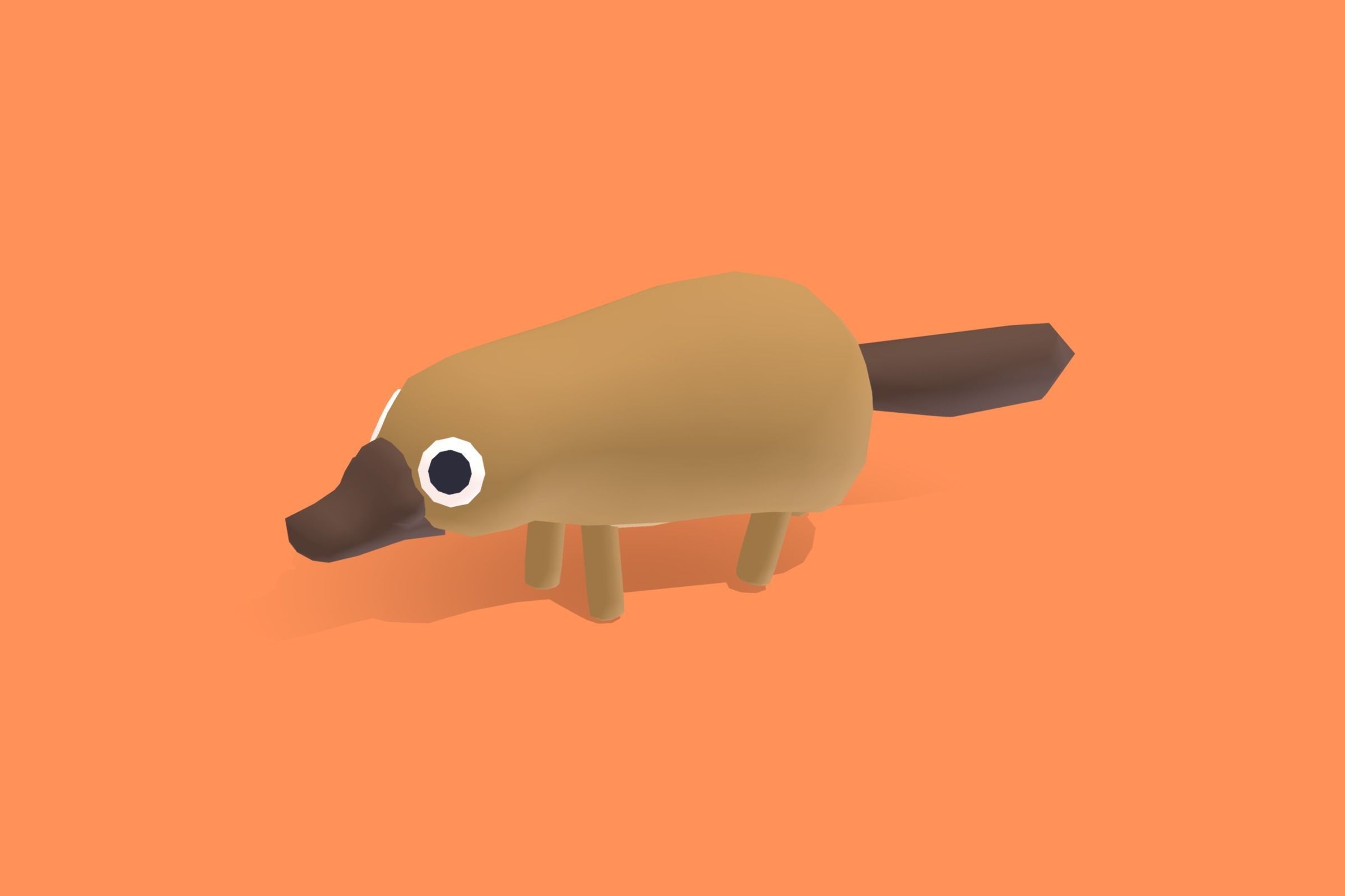 Platypus - Quirky Series Low-poly 3D model_6