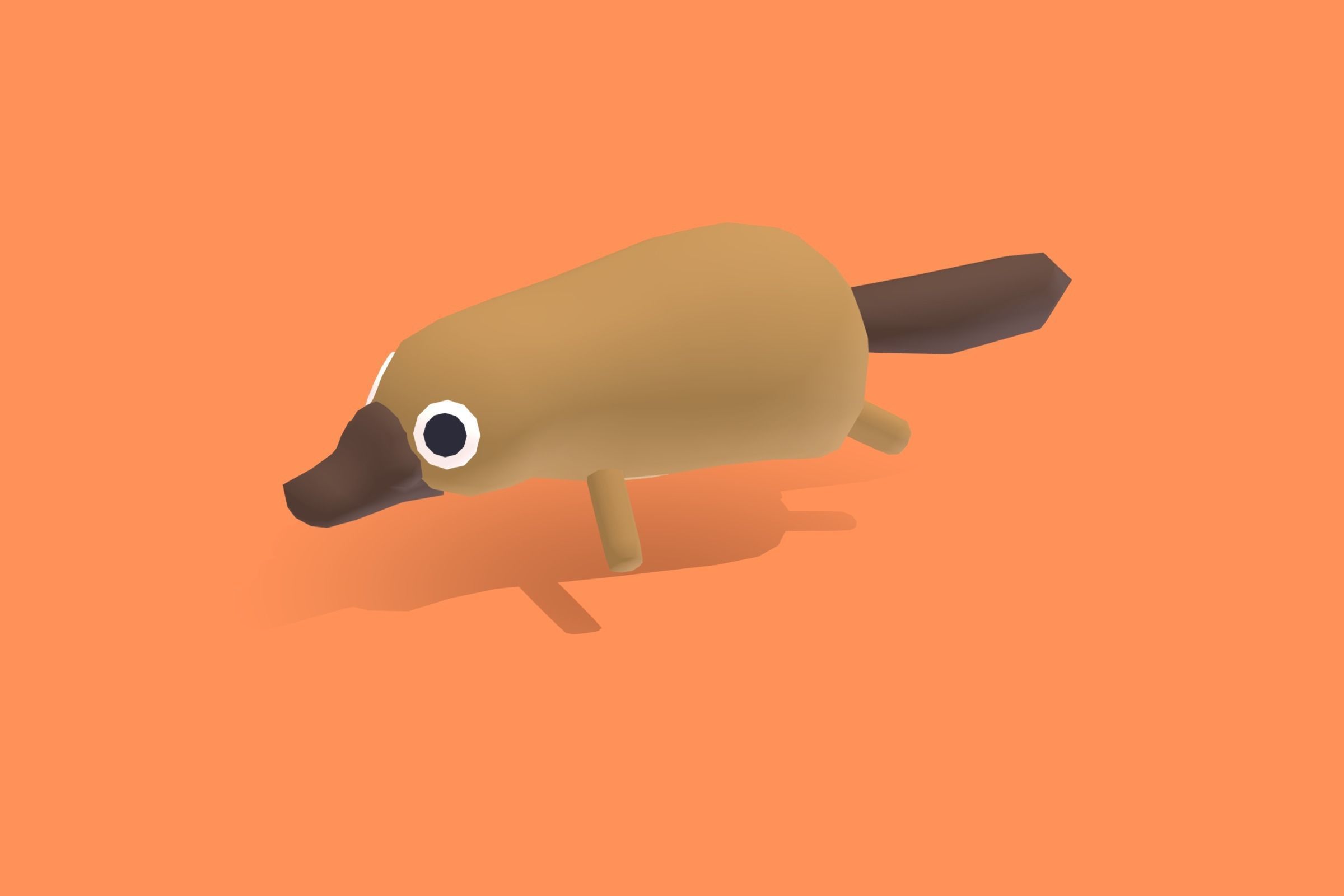 Platypus - Quirky Series Low-poly 3D model_3