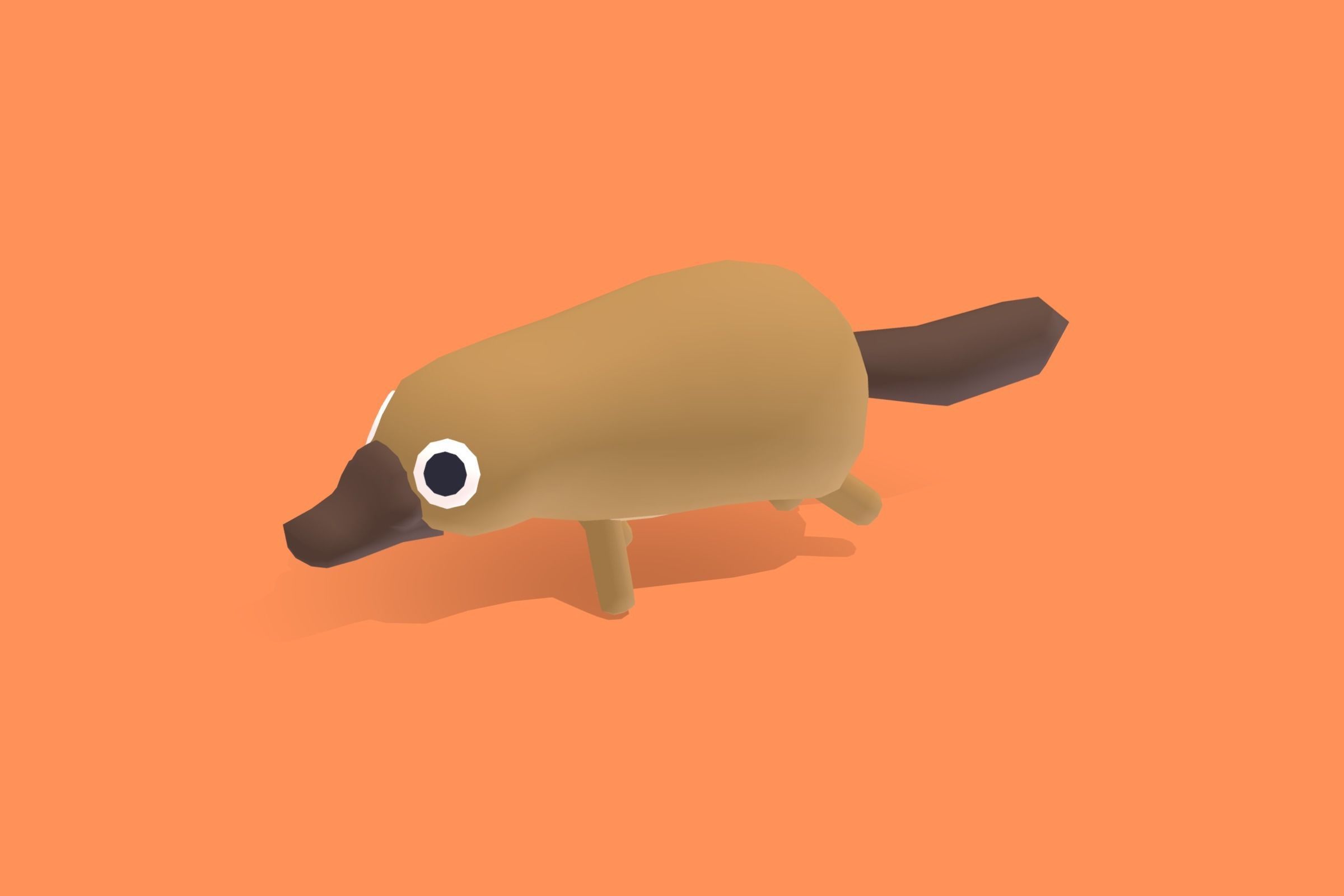 Platypus - Quirky Series Low-poly 3D model_13
