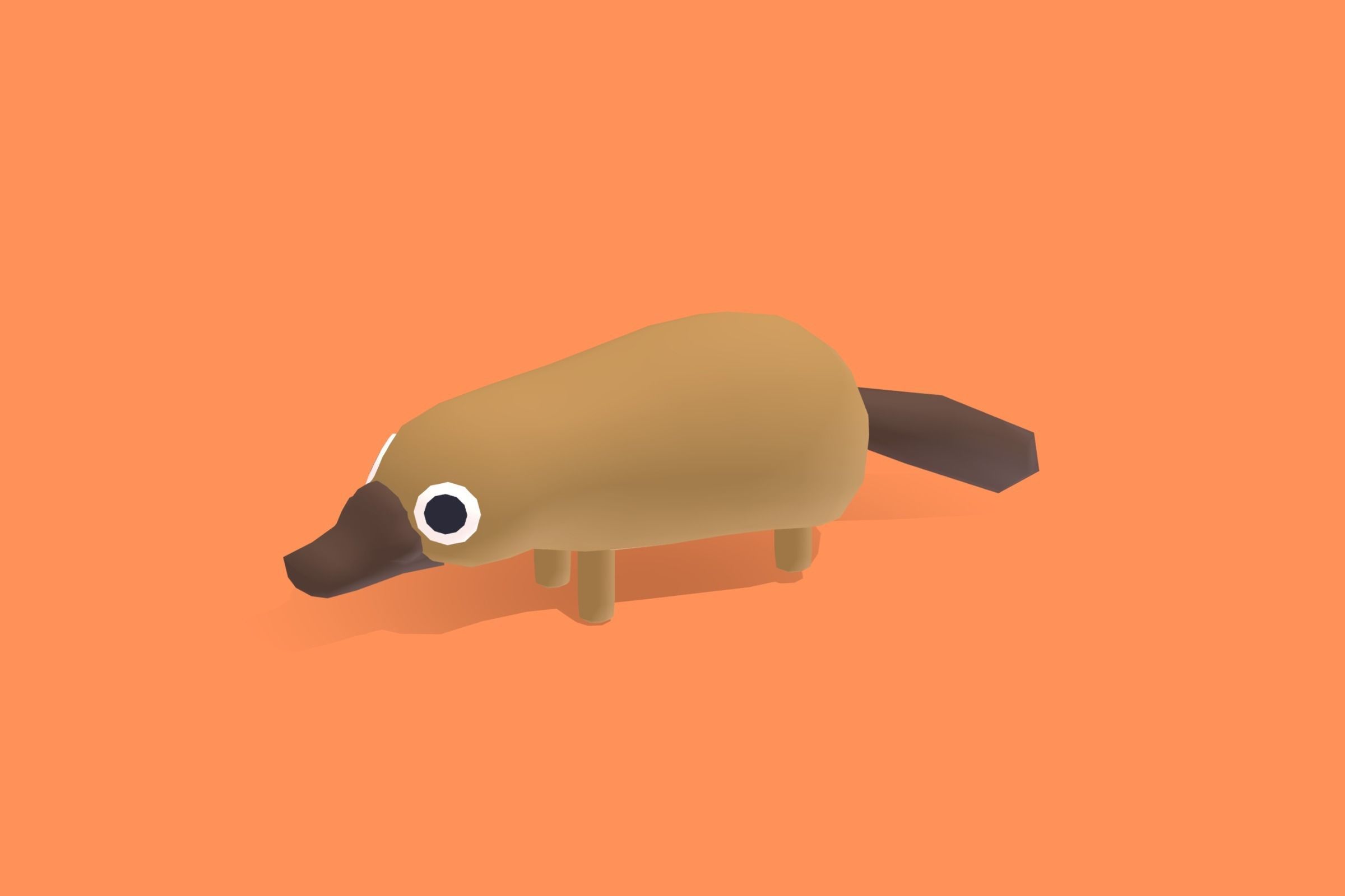 Platypus - Quirky Series Low-poly 3D model_8