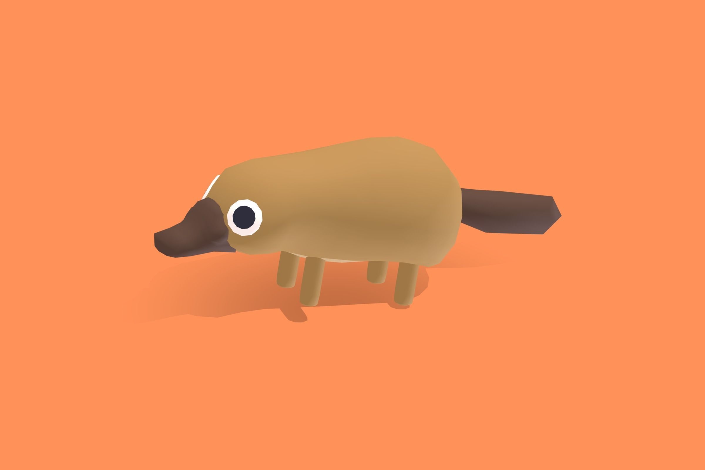 Platypus - Quirky Series Low-poly 3D model_10