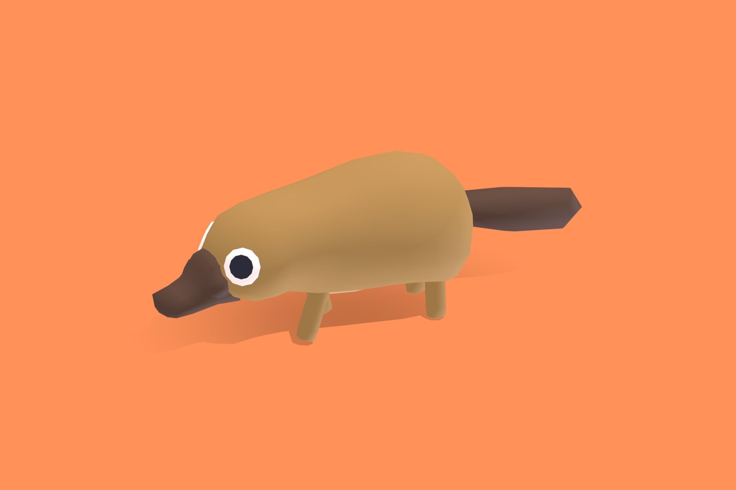 Platypus - Quirky Series Low-poly 3D model_7