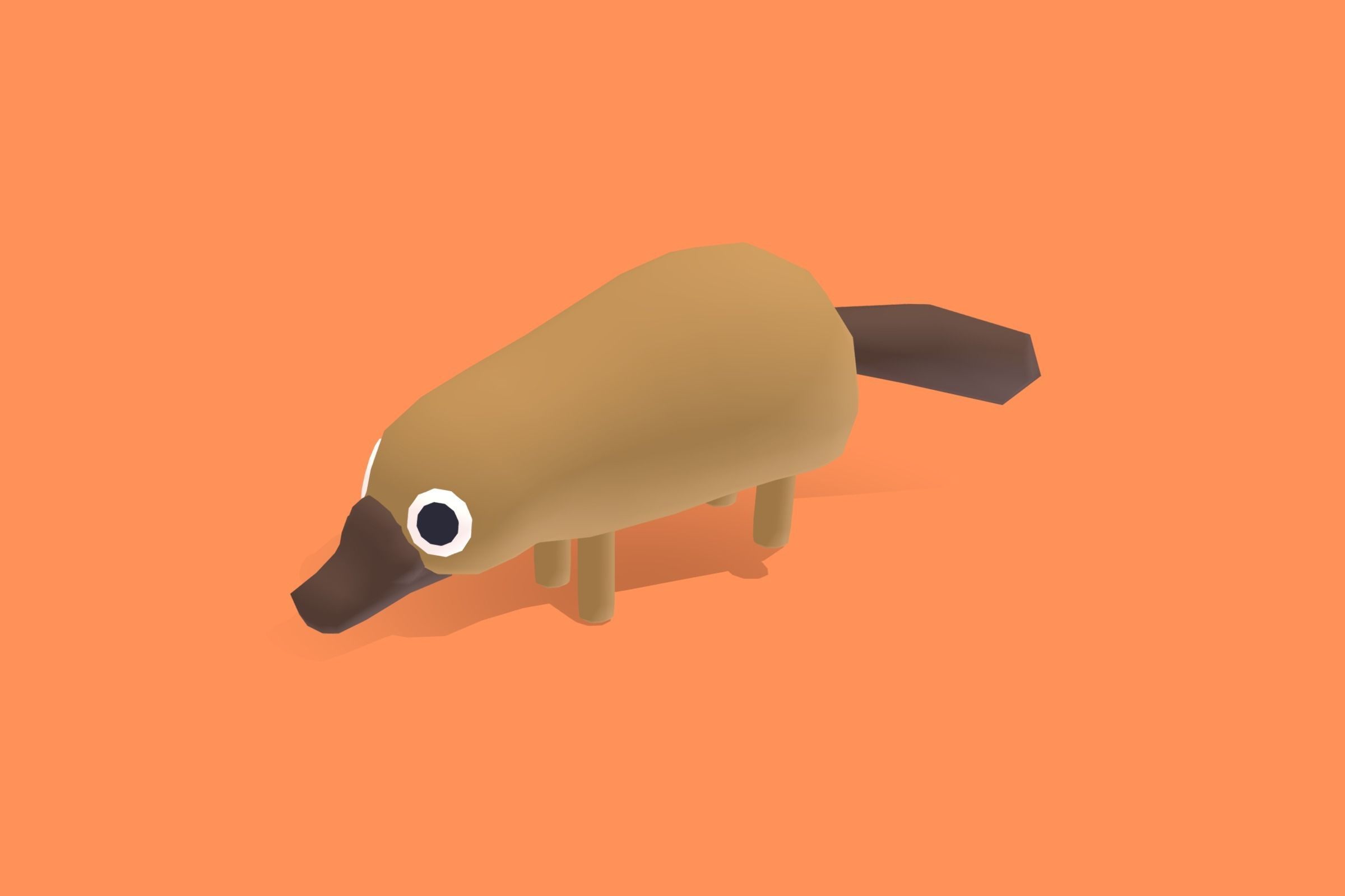 Platypus - Quirky Series Low-poly 3D model_12