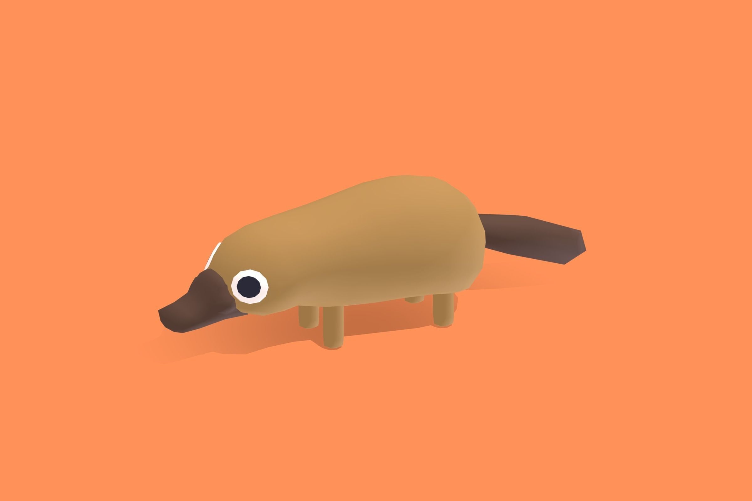 Platypus - Quirky Series Low-poly 3D model_4