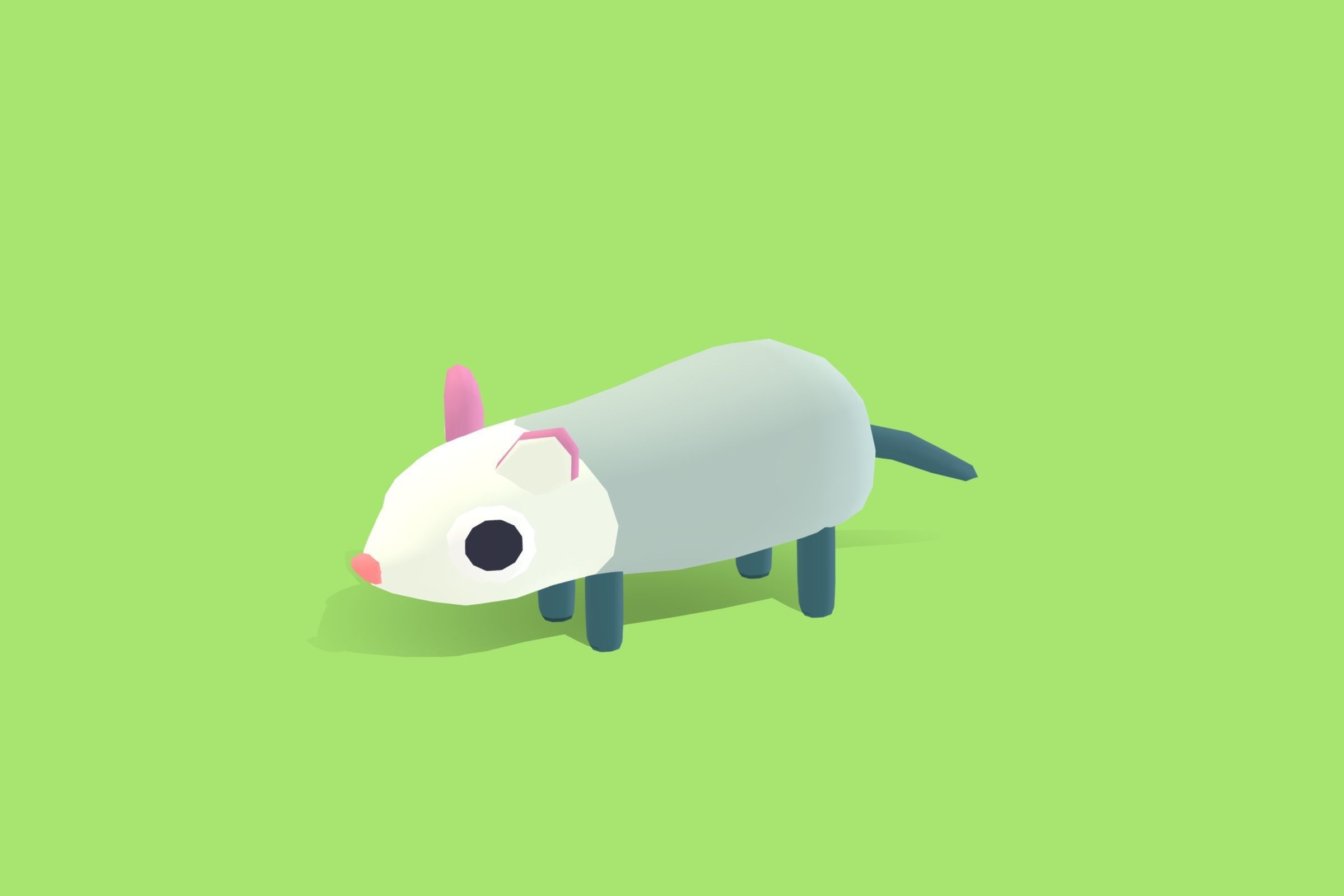 Possum - Quirky Series Low-poly 3D model_11