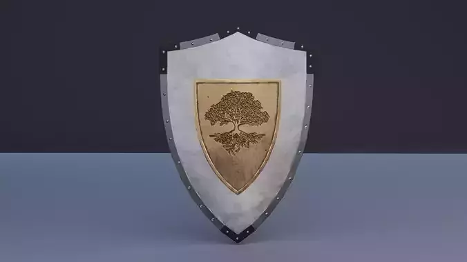 Viking shield