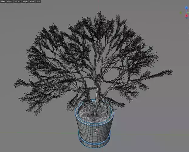 Japanese tree 3D model