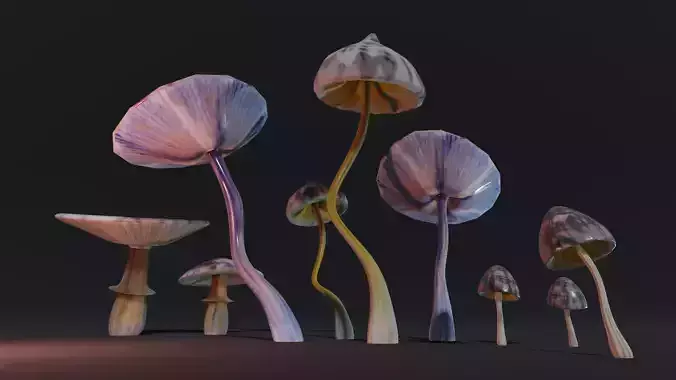 Mushroom collection three mushrooms Low-poly 3D model