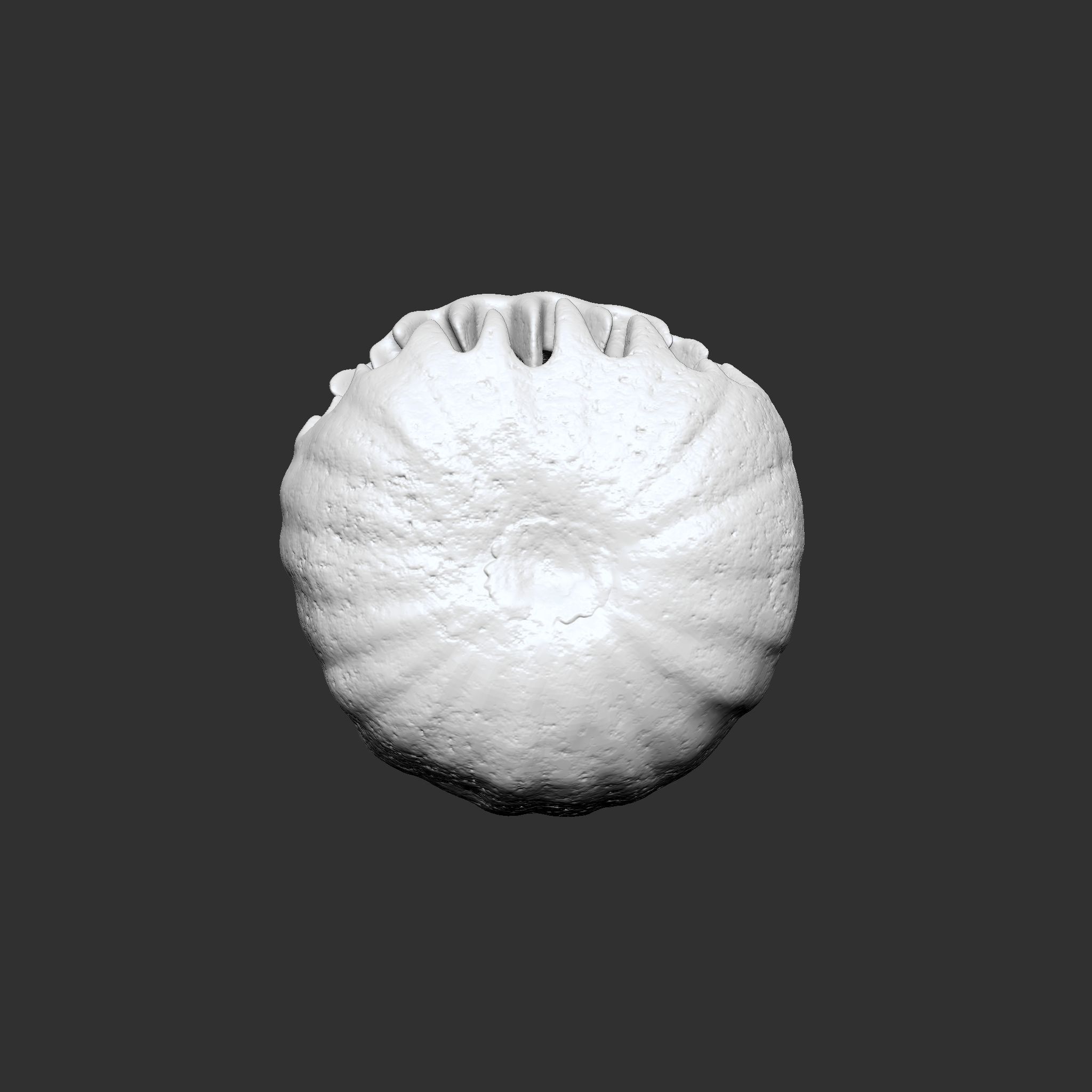 Jack-o-lantern Sinister Smile  3D print model_19