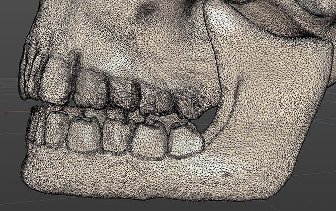 Cartoony skull with separated jaw Low-poly 3D model