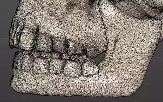 Cartoony skull with separated jaw Low-poly 3D model