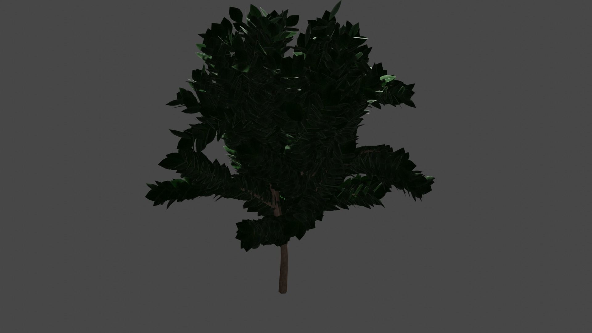 Pohon Kedondong 3D model_8