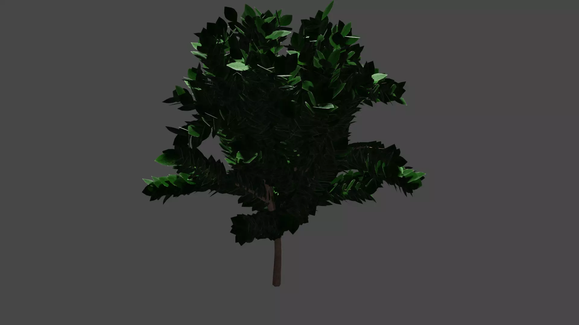 Pohon Kedondong 3D model_0