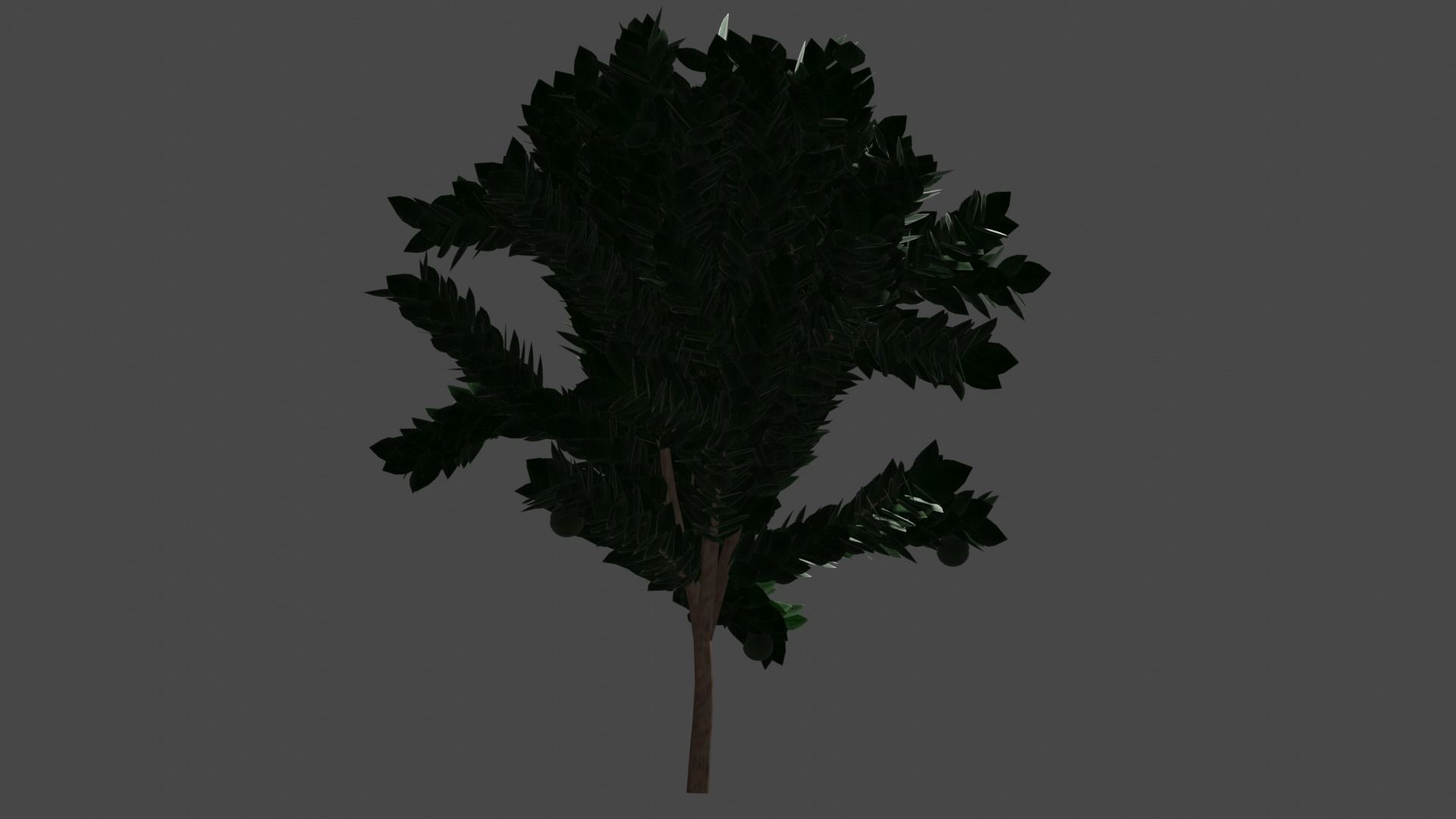 Pohon Kedondong 3D model_7