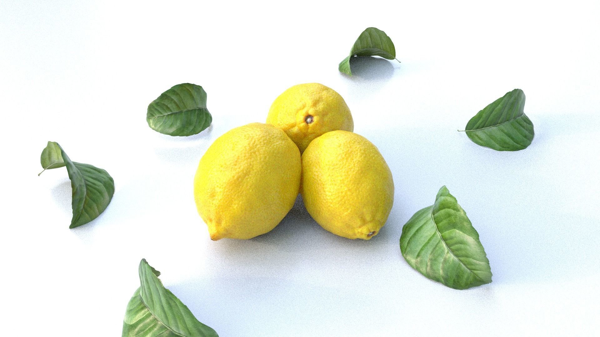 Lemon and leaf Low-poly 3D model_2