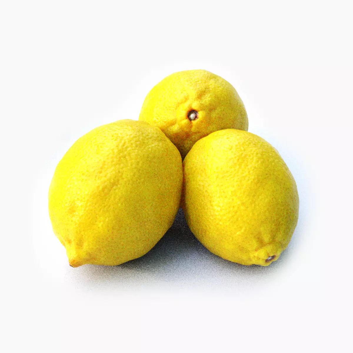 Lemon and leaf Low-poly 3D model_0