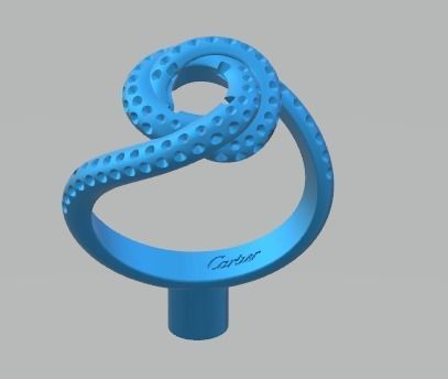 rings -CG142 3D print model_3