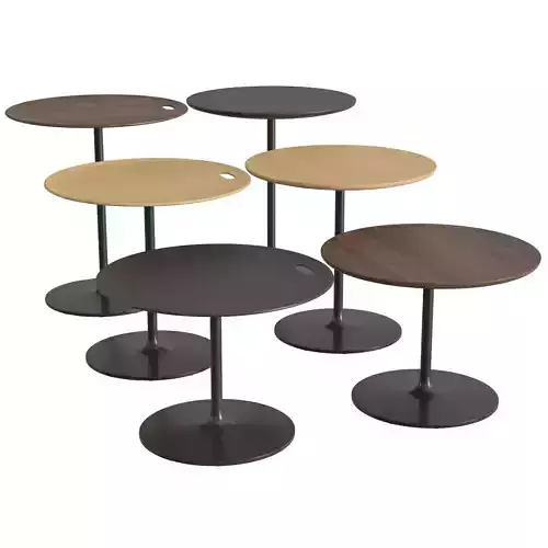 Occasional Low Table 3D model