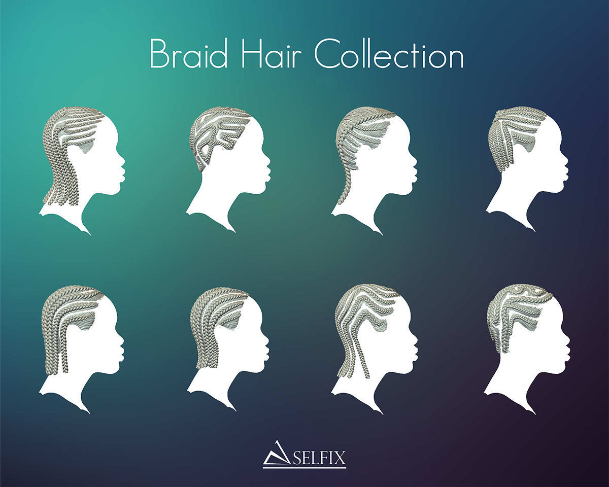 Braid Hairstyle Collection _3
