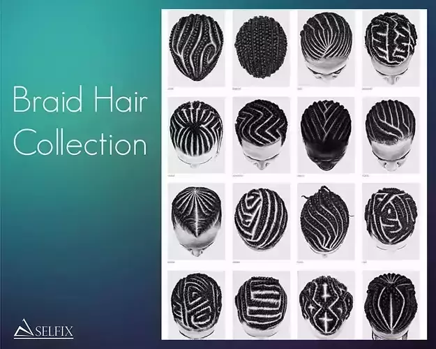 Braid Hairstyle Collection 