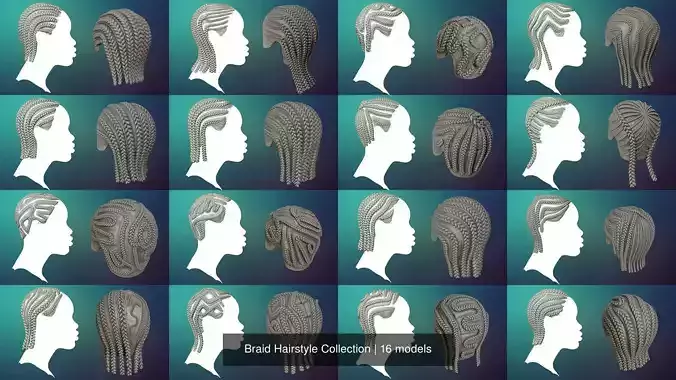Braid Hairstyle Collection
