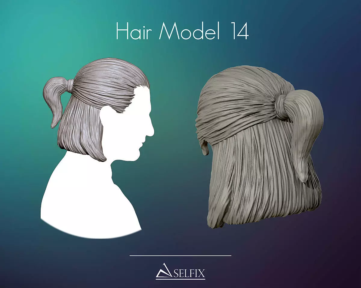 Hairstyle 14 3D print model_0