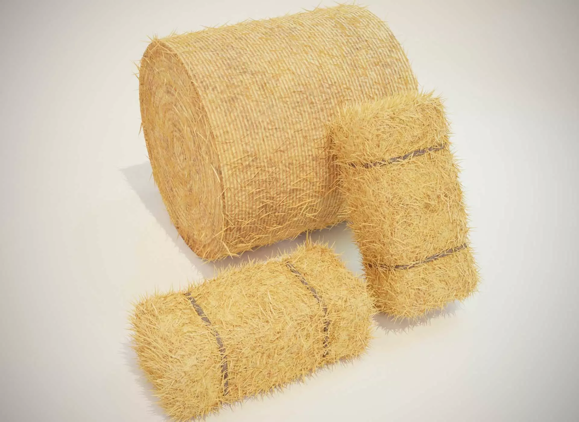 Hay Bale Square and Round 3D Model 3D model