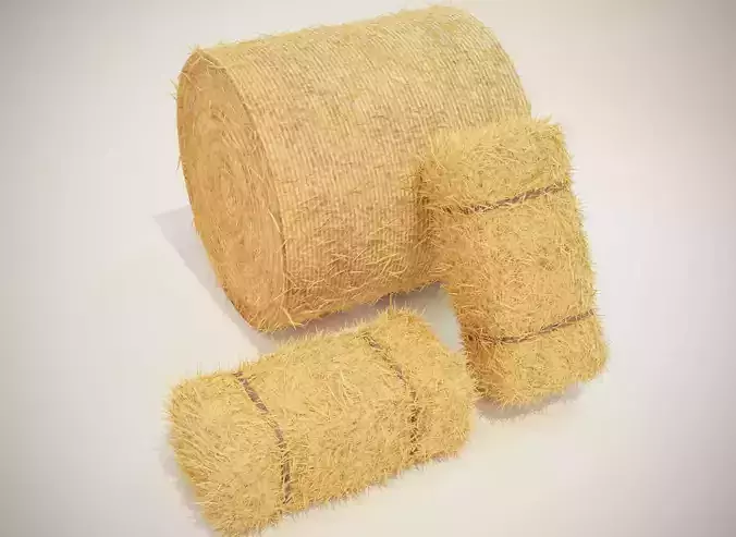 Hay Bale Square and Round 3D Model 3D model