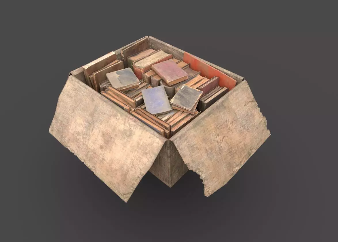 Dirty Book Cardboard Box Low-poly 3D model_0