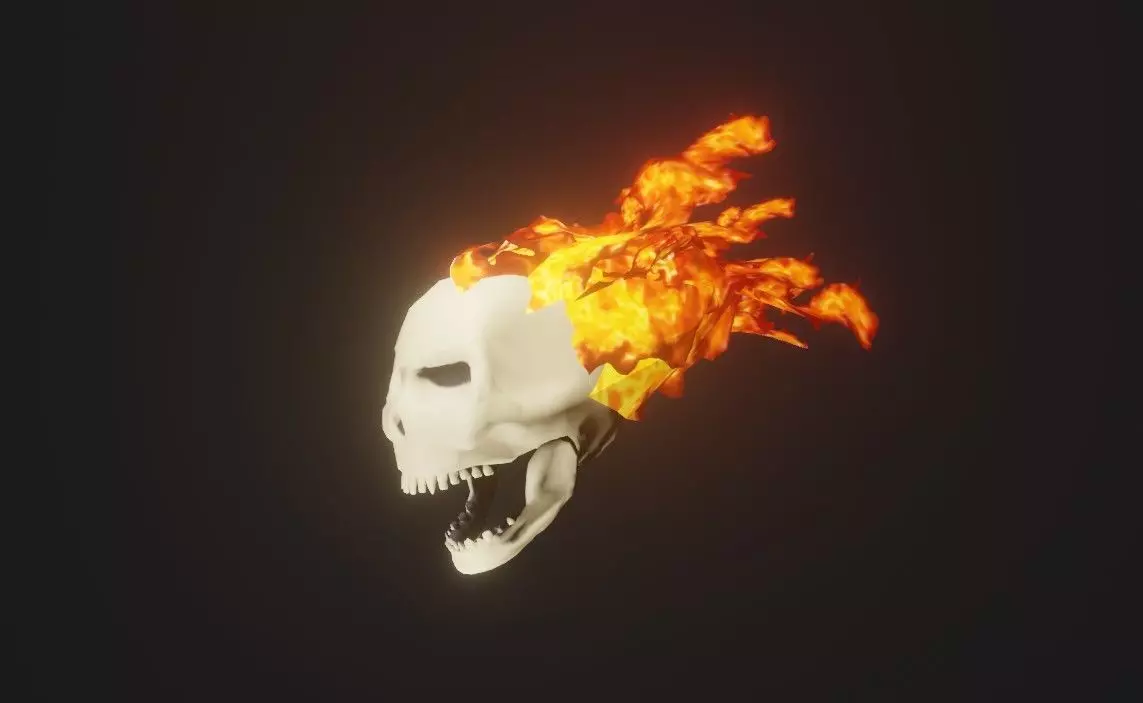 Fire Skull Head - Caveira de Fogo Low-poly 3D model_0