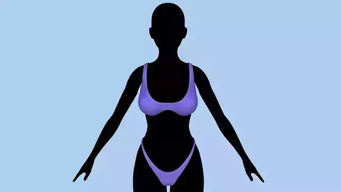 Swimsuit 2 silhouette of woman in bikini