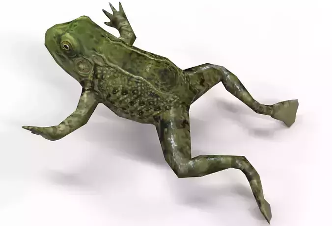 3D low poly Frog Low-poly 3D model