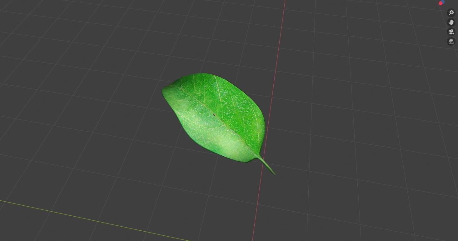 Apple stem 3D model_10