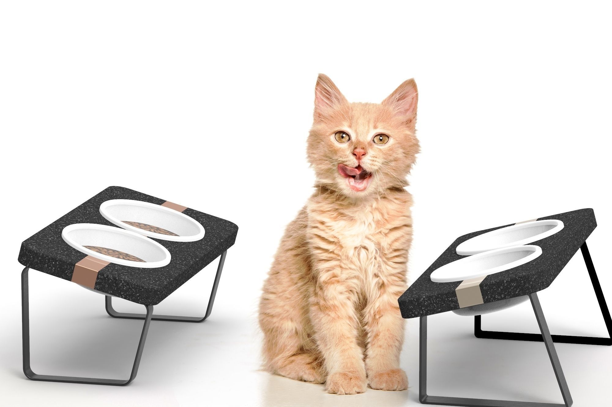 Pet Food Station  Free low-poly 3D model_1