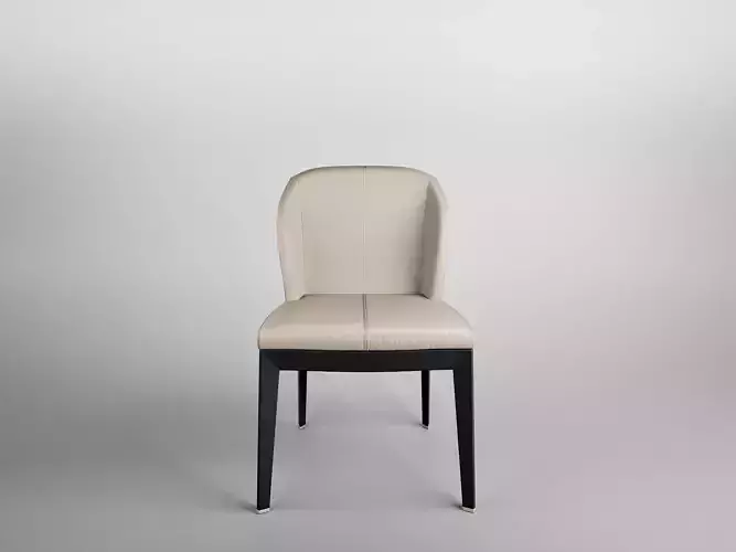Giorgetti Chair Model - Free Model Free 3D model