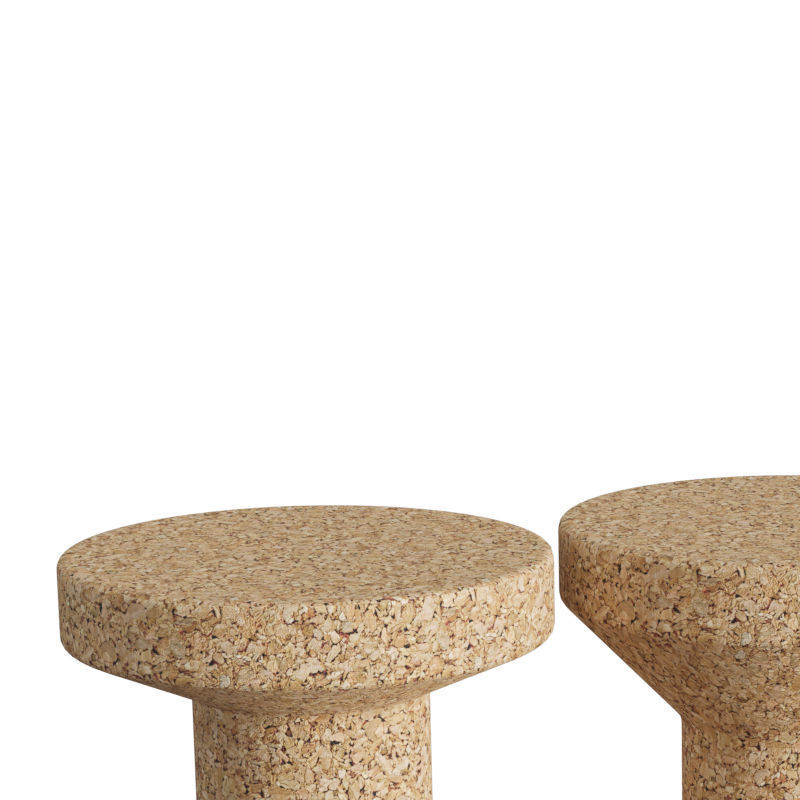 Cork Family 3D model_1