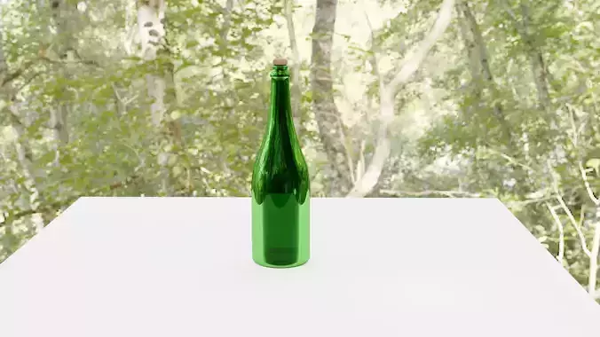 Champagne bottle