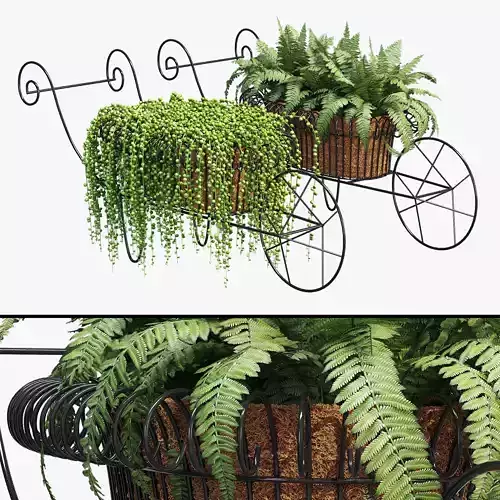 Wheelbarrow two planters