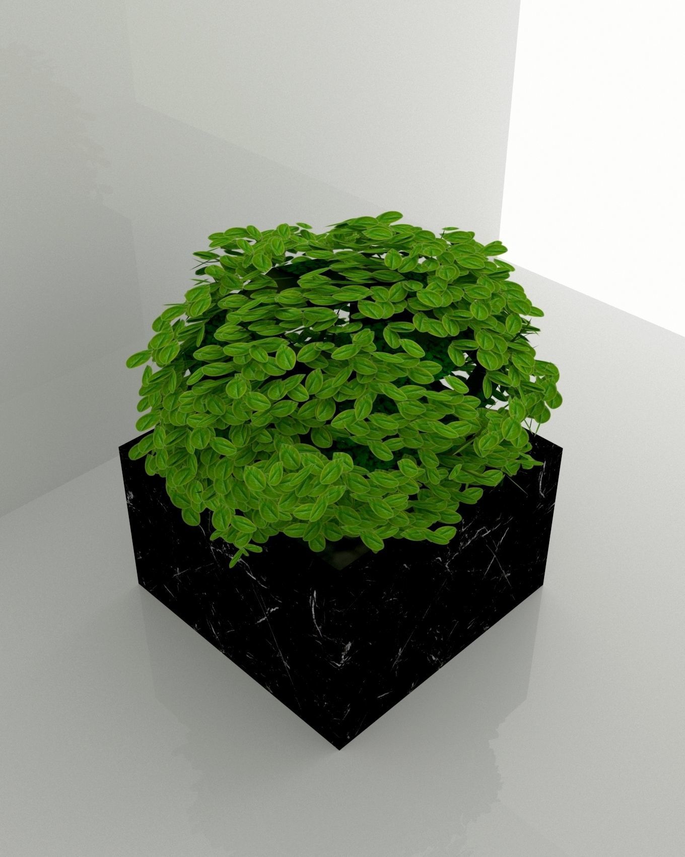 plant 3d model in pot 3D model_4