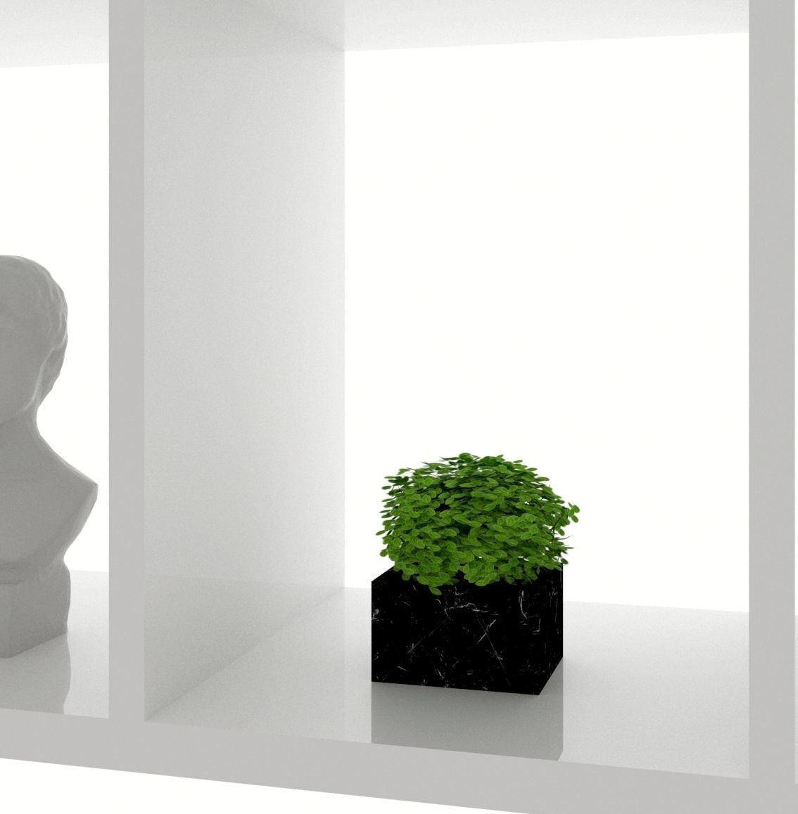 plant 3d model in pot 3D model_1