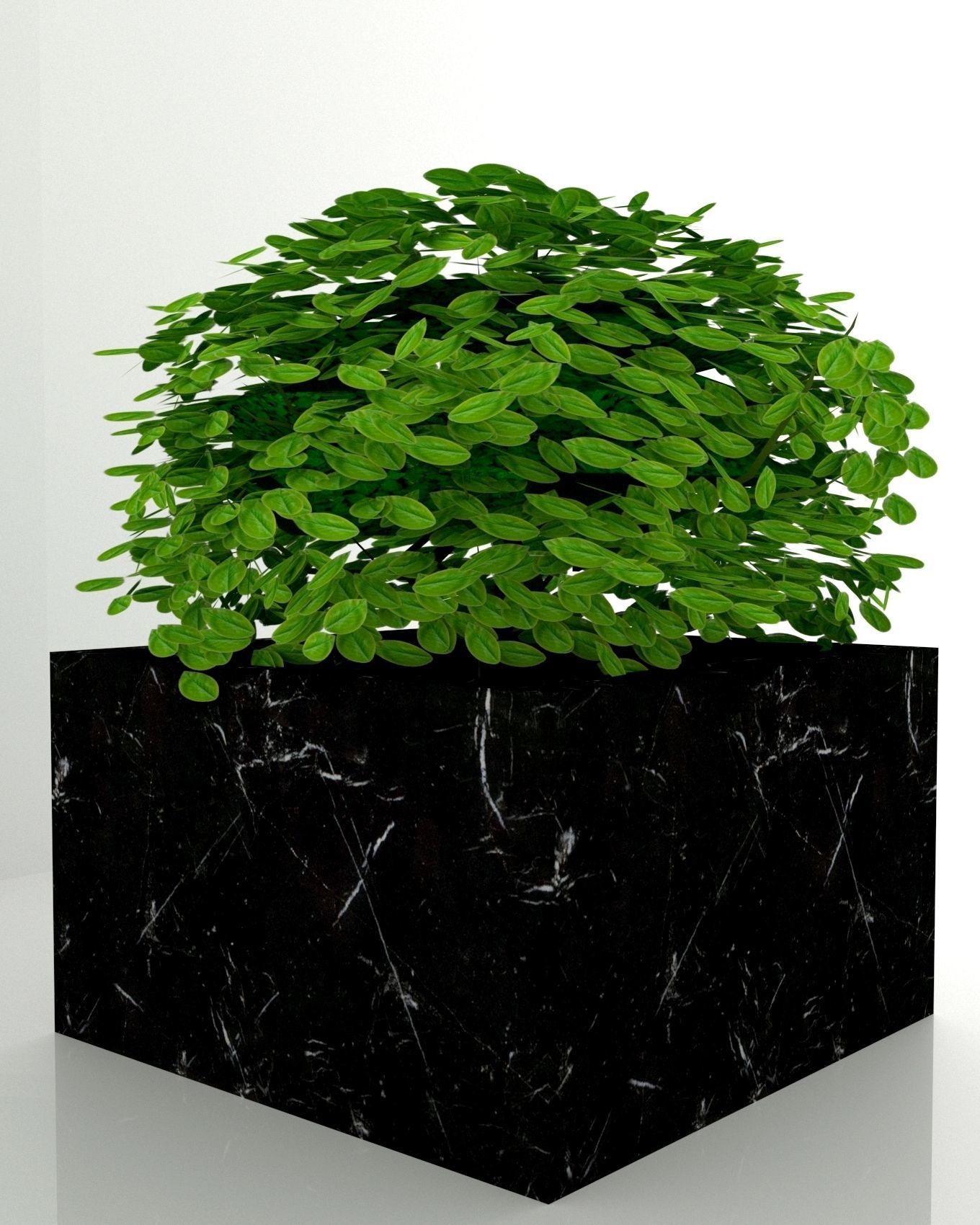 plant 3d model in pot 3D model_3