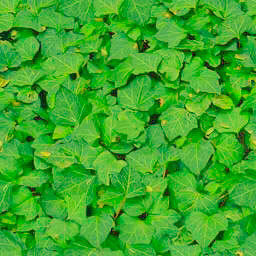 plant 3d model in pot 3D model_7