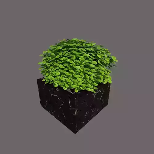 plant 3d model in pot