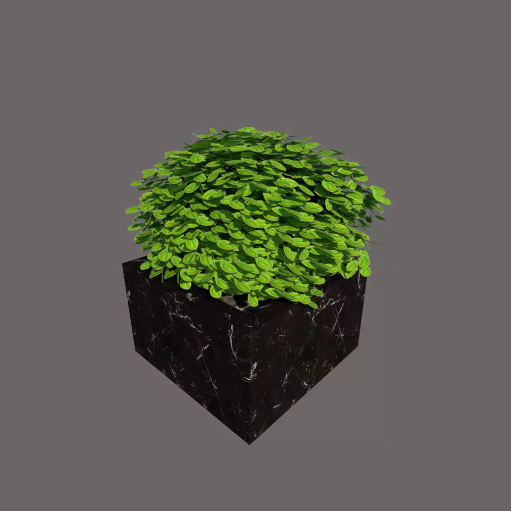 plant 3d model in pot 3D model_0