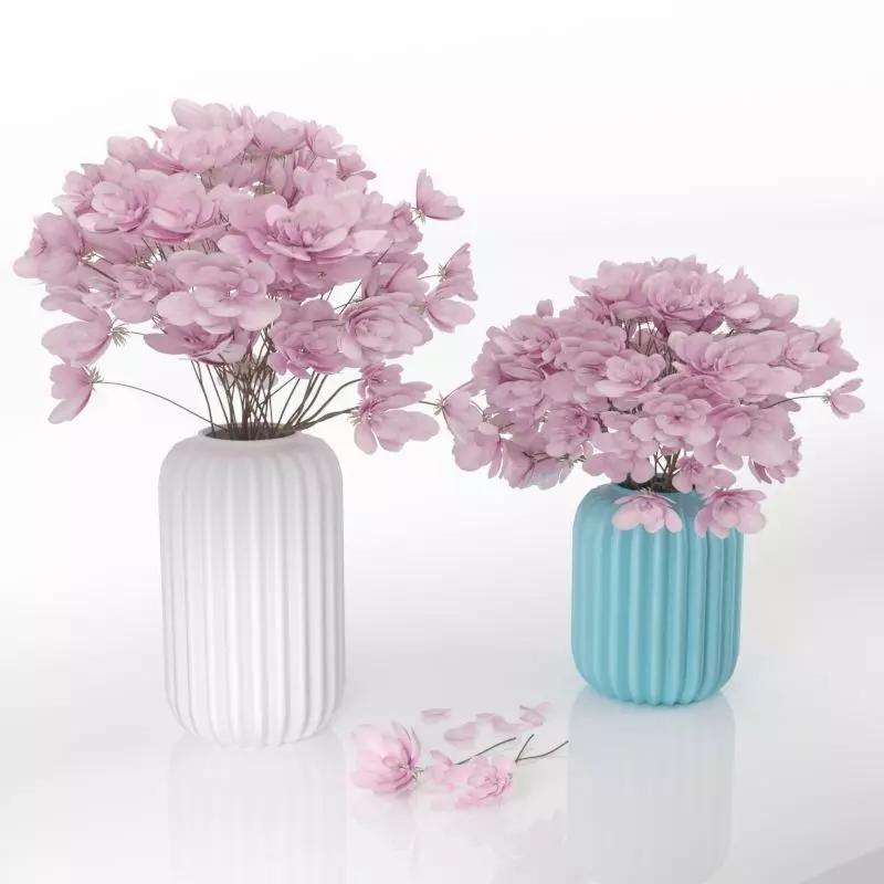 Flower magnolia Free 3D model_0