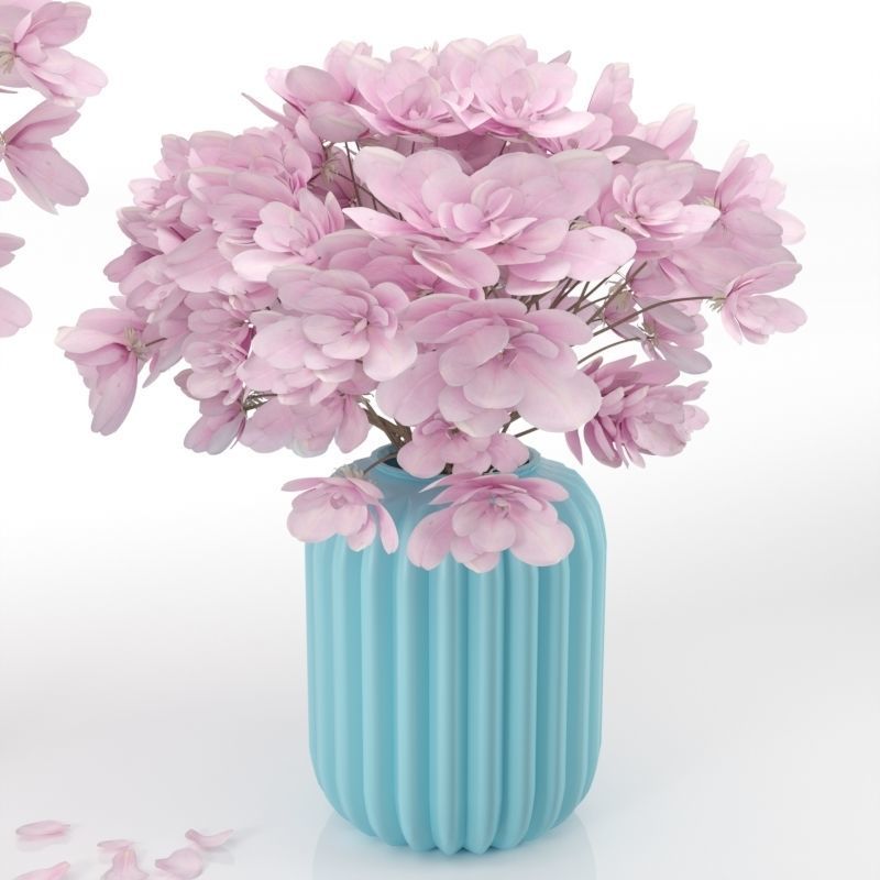 Flower magnolia Free 3D model_1